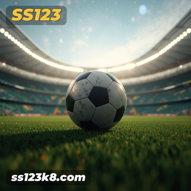ss123 - Login Methods